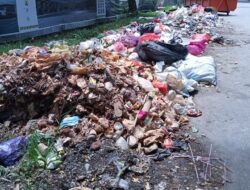 Sampah Berserakan di Palopo, Begini Penjelasan DLH