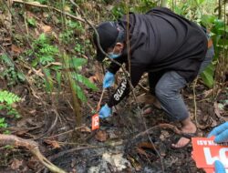 Polisi Selidiki Penemuan Mayat di Luwu, 3 Orang Saksi Dimintai Keterangan