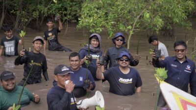 Jalin Kerja Sama Dengan Tiga Lembaga, NasDem Luwu Tanam Ribuan Pohon Mangrove