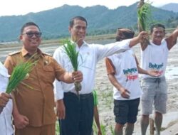 Tiba di Palopo, Mentan RI Lakukan Tanam Padi Bersama Warga Sendana