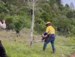 Dituduh Serobot Lahan Milik Warga, Begini Pernyataan PT MDA Luwu