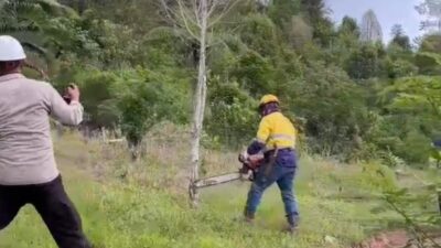 Dituduh Serobot Lahan Milik Warga, Begini Pernyataan PT MDA Luwu