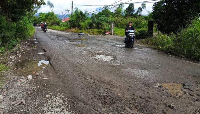Jalan Rusak dan Gelap di Lamasi-Luwu, Warga Desak Perbaikan Segera