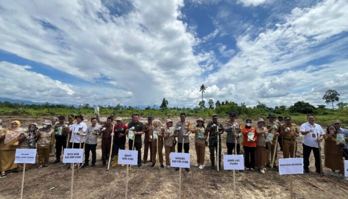 Gandeng Pemda, Polres Lutra Tanam Jagung Serentak Dukung Ketahanan Pangan Nasional