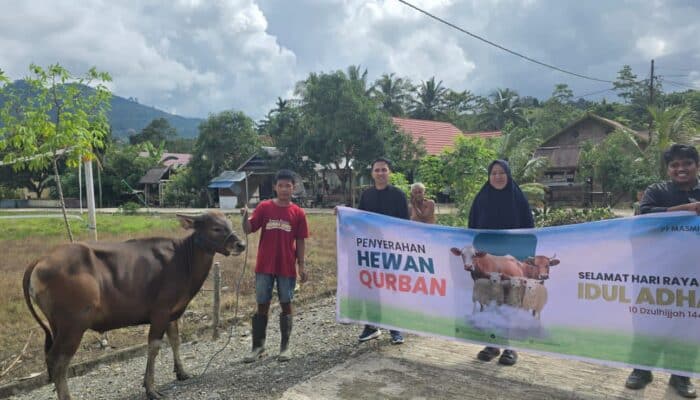 MDA Salurkan 21 Sapi Kurban di Latimojong, Dukung Peternak dan Koperasi Lokal