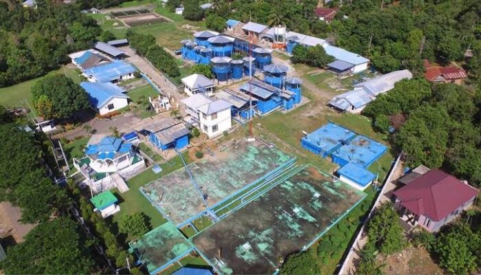 PDAM Palopo Umumkan Gangguan Layanan Air 13 Juli, Warga Diminta Menampung Air