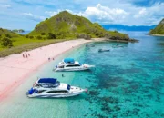 Paket Wisata Labuan Bajo Tour & Open Trip Sailing Komodo