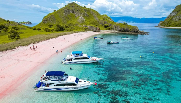 Paket Wisata Labuan Bajo Tour & Open Trip Sailing Komodo