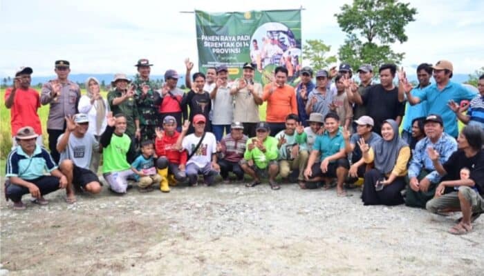 Panen Raya Serentak, Luwu Utara Catat Rp1,5 Triliun dari Produksi Padi