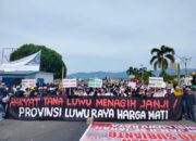 Desak Pemekaran, Warga Luwu Utara Long March Suarakan Provinsi Luwu Raya