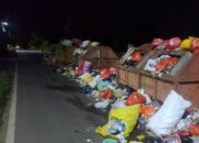 Tumpukan Sampah di Depan Kantor PU Palopo Jadi Sorotan, Warga Desak DLH Segera Bertindak